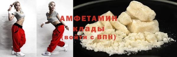 прущие грибы Абинск