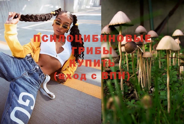 гашик Абаза