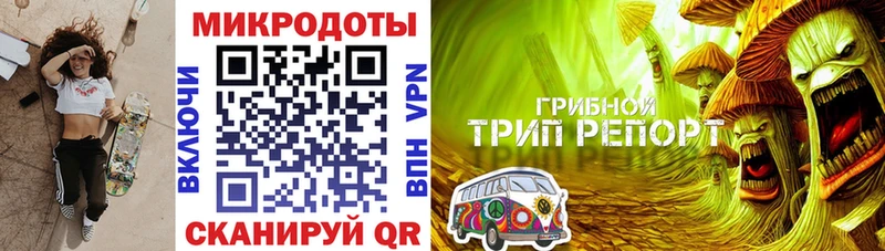 закладки  мега рабочий сайт  Галлюциногенные грибы Magic Shrooms  Новотитаровская 